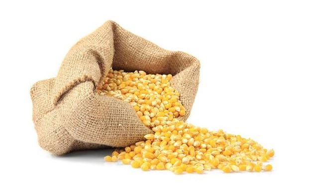Corn