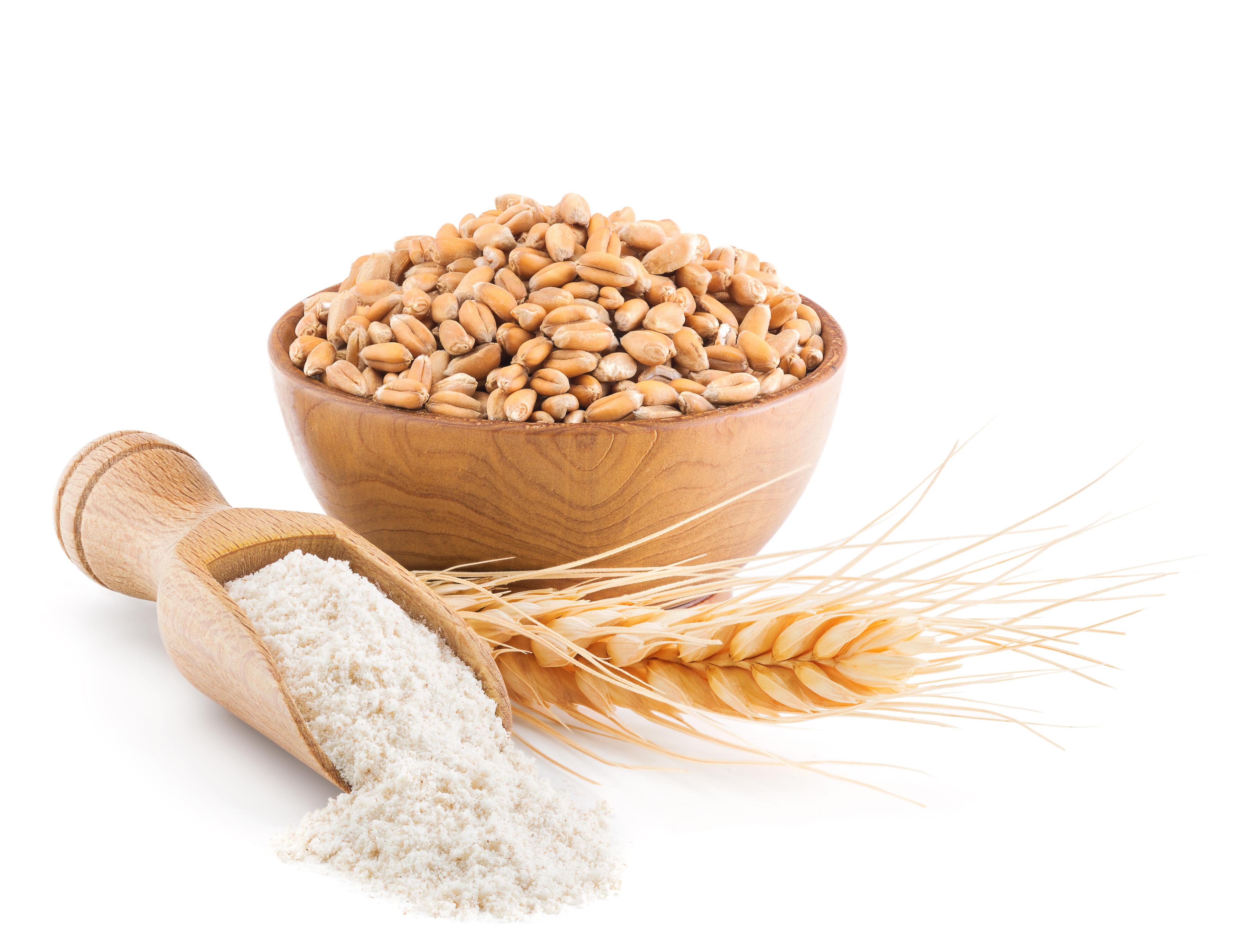 Grains